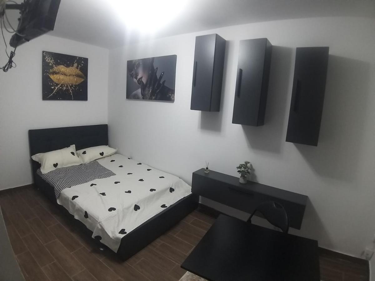 Ovidiu Relaxing Place ブカレスト エクステリア 写真